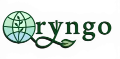 Oryngo
